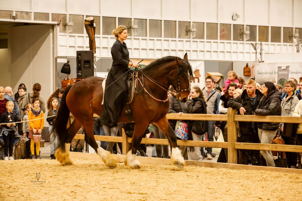 Linn klassisch geritten im Aktionsring